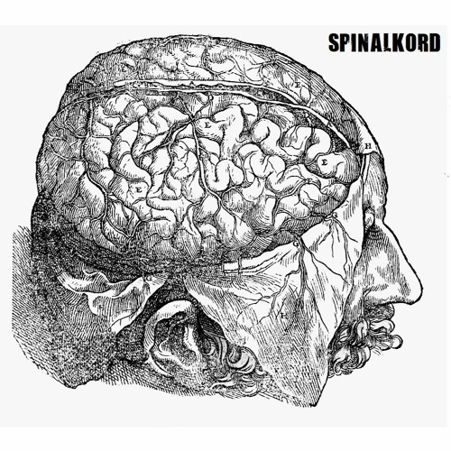 NSD - Euthanasia (Spinalkord Edit)