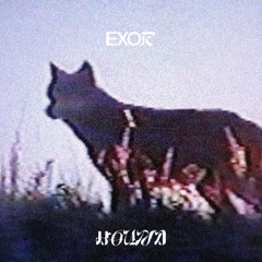 HOUND (SLOWED)