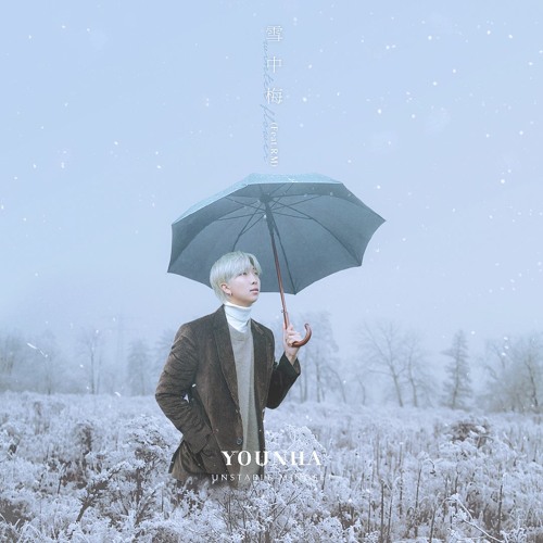 Younha 윤하 Winter Flower 雪中梅 Feat Rm 방탄소년단 Cover By Enjoyjoywithme By Enjoyjoywithme
