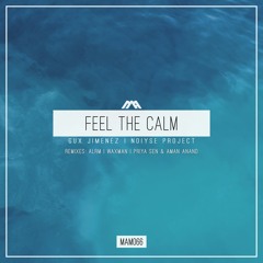 Gux Jimenez & Noise Project - Feel The Calm (ALRM Remix)