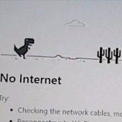 no wifi