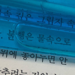 내 청춘을 모조리 태워버린 무모한 사랑