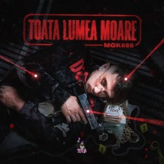MGK666 - Operatiunea GhostGun