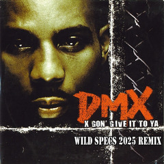 DMX - X Gon´ Give It To Ya (Wild Specs 2025 Remix)