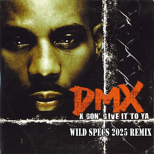 DMX - X Gon´ Give It To Ya (Wild Specs 2025 Remix)