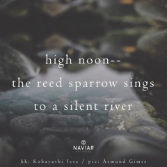 Sings To A Silent River [naviarhaiku437]