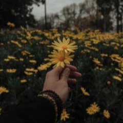 FIX U  cover