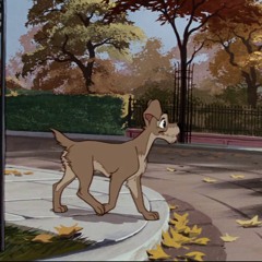 Snob Hill Chill