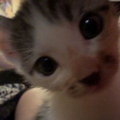 stuntn all thru 2k26 mark my words (5k)