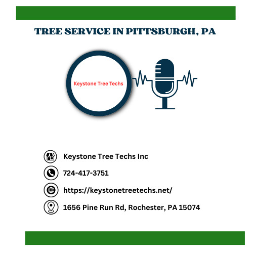 tree-pruning-vs-trimming-pittsburgh-pa