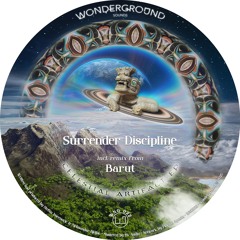 Surrender Discipline ◦ Celestial Artifact EP incl. Barut remix [WNG022]