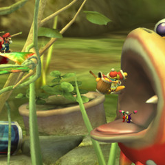 sourkraut (#longday+#servingbass) watchyamadabt?