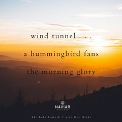 Boson Spin - Hummingbird in a wind tunnel [naviarhaiku355]