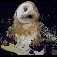 Jimi & The Owl