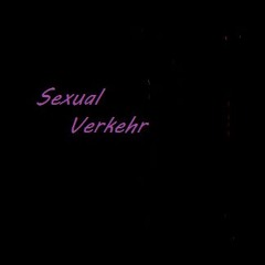Sexualverkehr (Christian Steiffen Cover)