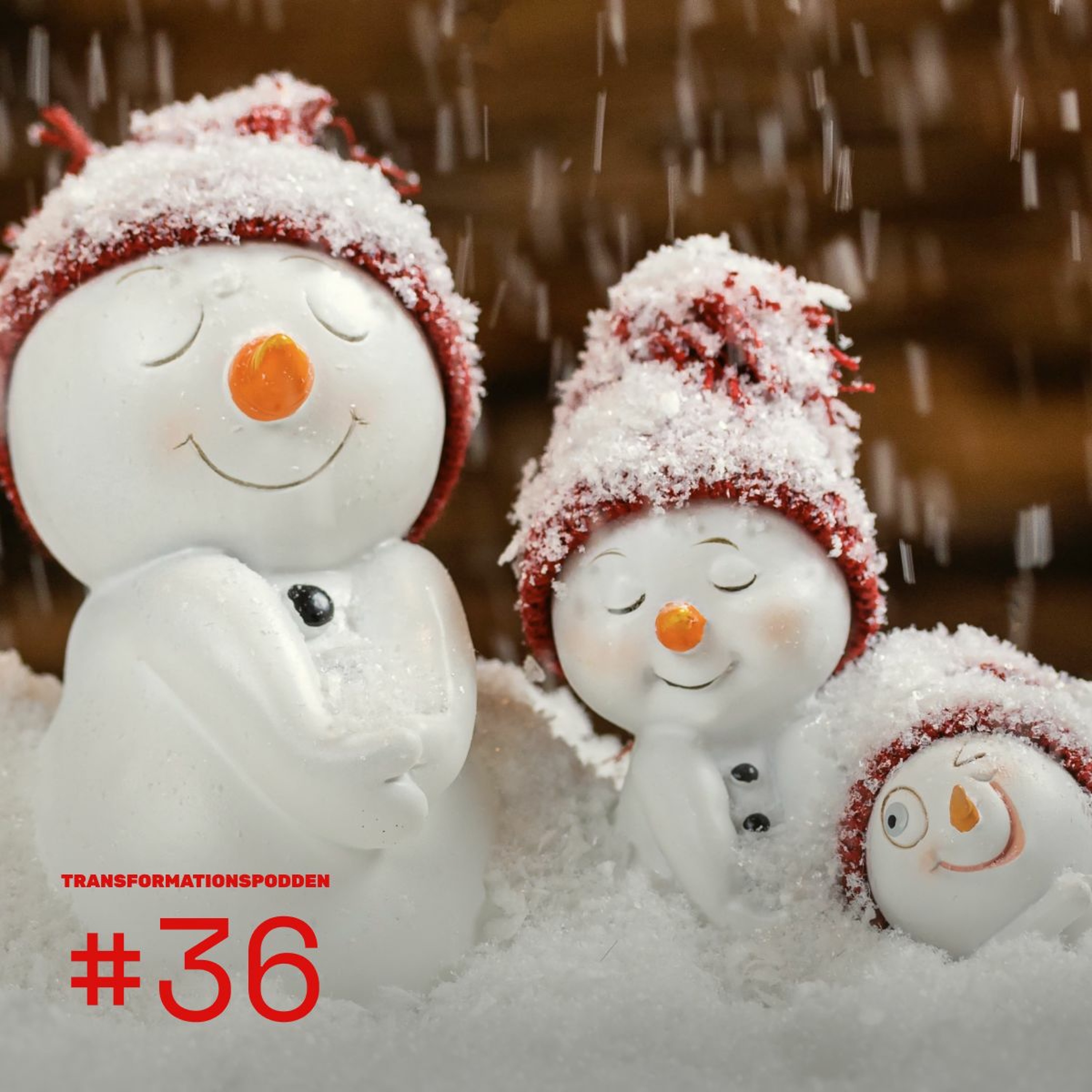 #36 – Julspecial: Insikter och lärdomar från 2020 episode artwork