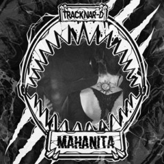 TRACKNAR-D+ MiB 2025-05-10_20h55