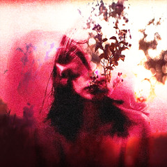 APOLOGY LETTERS W/ ULTER