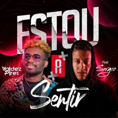 Valdez Pires feat. Sérgio - Estou a Sentir