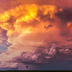 55 - We Are Who We Are in Response to Our Environment