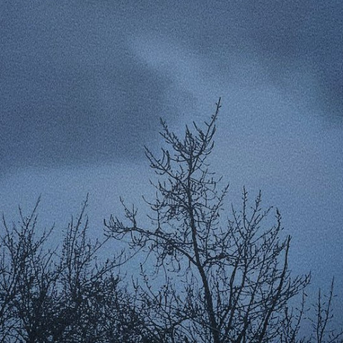 incredible w/1xplains