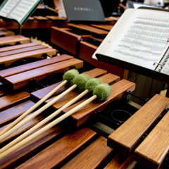 Perpetual Perplexity (Percussion Piece)