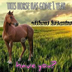 Crazy Hard Bounce Techno Set [170BPM]