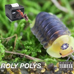 roly polys