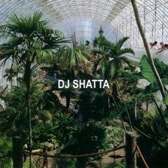 Hypnotic TEVA  🌶  DJ Shatta