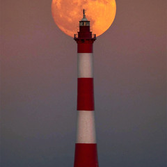 ESHKOUNJAY Worldwide Music Collection #49 ما لا يطلبه المستمعون