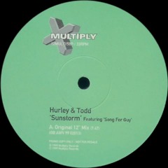 Hurley & Todd - Sunstorm (Rikki Starrett Remix) DOWNLOAD
