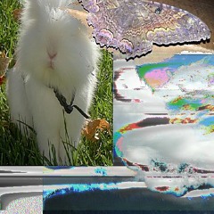 buni :D hehe