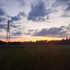 ZetWuEm - Samotny wilk