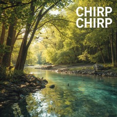 Chirp Chirp