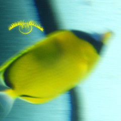 🟡E-mugi- "Photosyn" (PYP012)