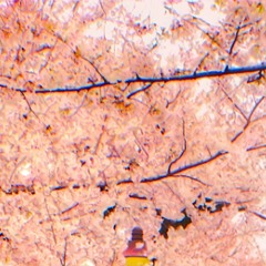 DaYDreaMs
