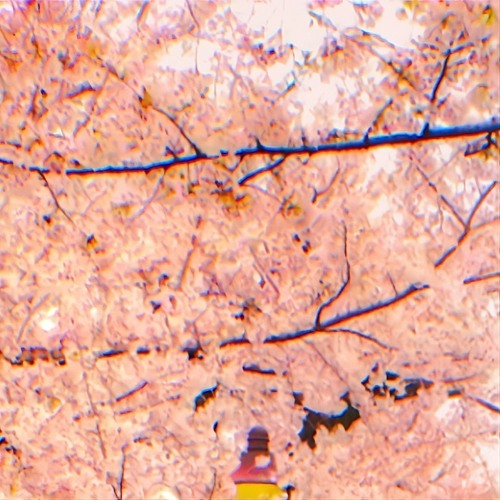 DaYDreaMs