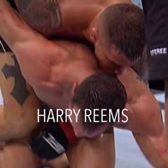 HARRY REEMS MIX