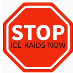 basta ya ICE
