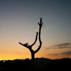 somethng