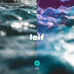 Patterns of Perception 123 - Leif