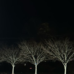 My Eyes (prod. Waves)