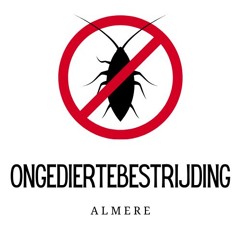 Hoe Mierenkolonies Je Huis Kunnen Overnemen