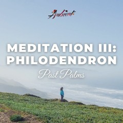 Past Palms - Meditation III: Philodendron
