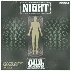 Night Owl Radio 384 ft. Countdown NYE 2022 Mega-Mix