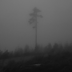 Late October Twenty Twenty Four