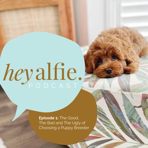 Podcast: The Good, The Bad & The Ugly of Finding a Puppy Breeder