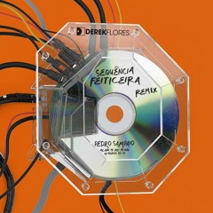 Pedro Sampaio - Sequência Feiticeira ( Derek Flores Remix ) #FreeDownload