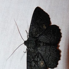 face blurry (me) #theydontknowaboutme #ocd800000