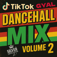Silver Limited Edition - Tiktok Gyal Dancehall mix (oct2025)